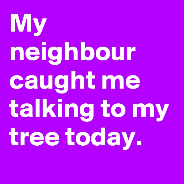 My neighbour caught me talking to my tree today.