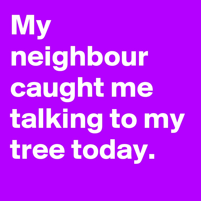 My neighbour caught me talking to my tree today.