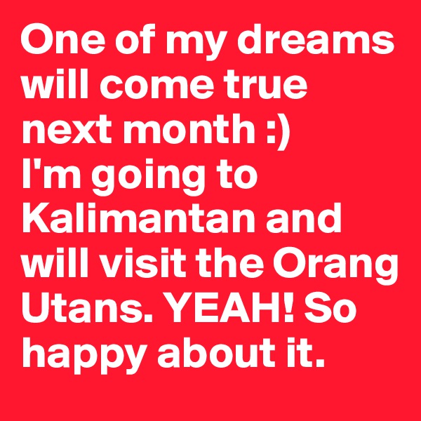 One of my dreams will come true next month :)
I'm going to Kalimantan and will visit the Orang Utans. YEAH! So happy about it. 