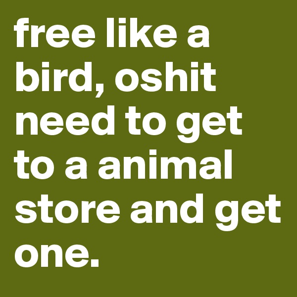 free like a bird, oshit need to get to a animal store and get one.