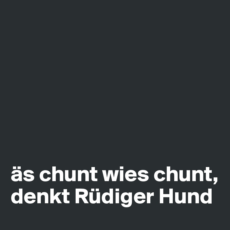 






äs chunt wies chunt, denkt Rüdiger Hund