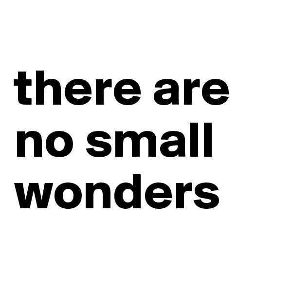 
there are no small wonders
