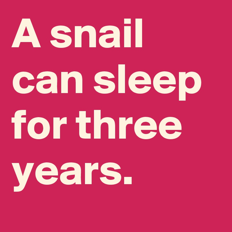 A snail can sleep for three years.