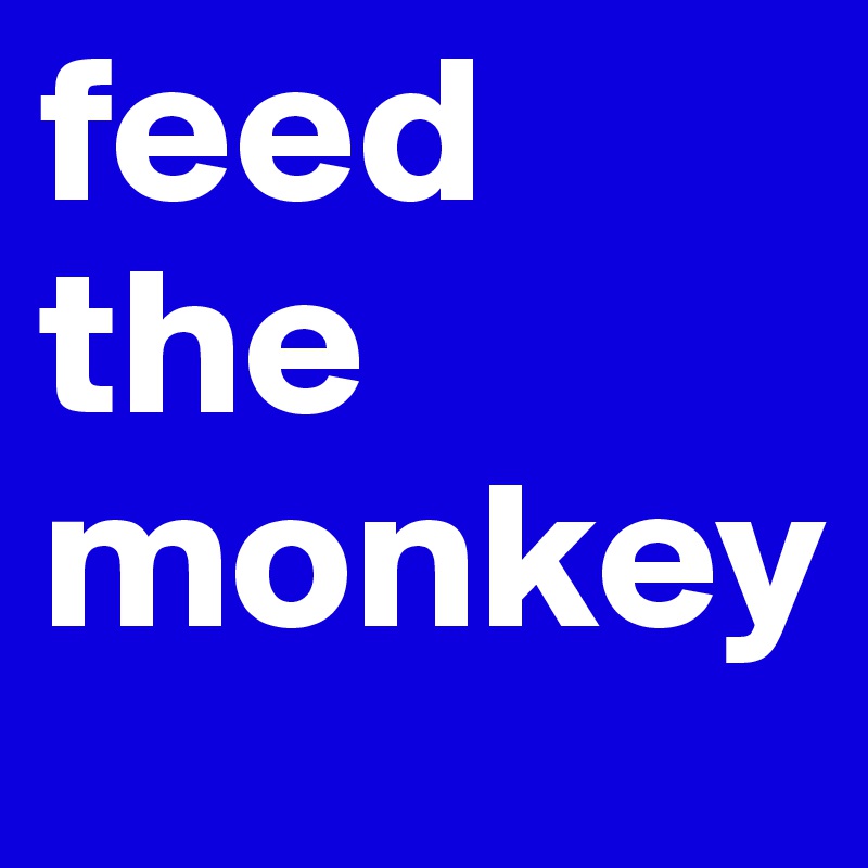 feed the monkey