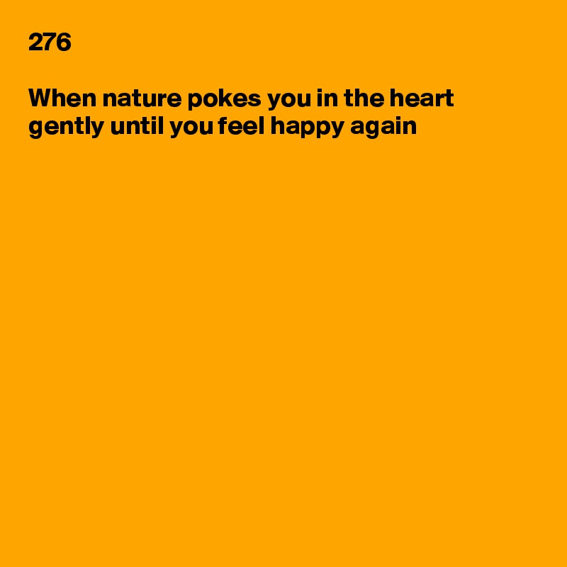276

When nature pokes you in the heart gently until you feel happy again













