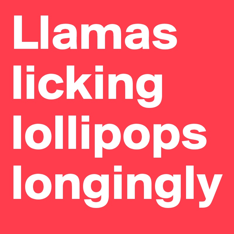 Llamas licking lollipops longingly 