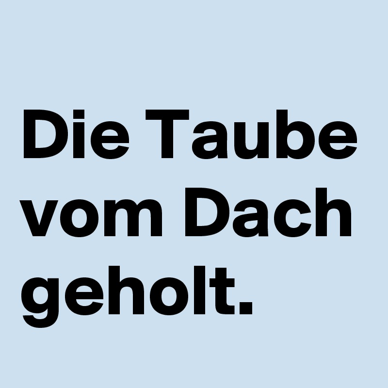 
Die Taube vom Dach geholt.