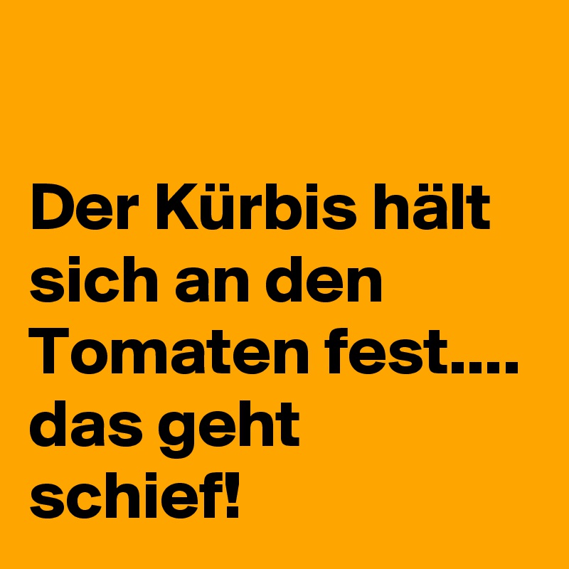 

Der Kürbis hält sich an den Tomaten fest....
das geht schief!