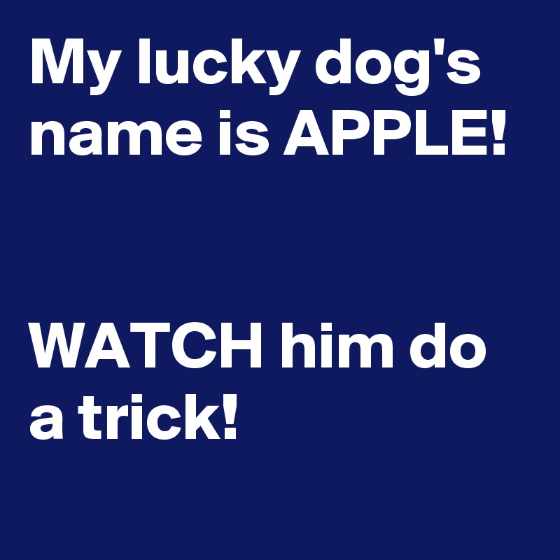 My lucky dog's name is APPLE!


WATCH him do a trick!