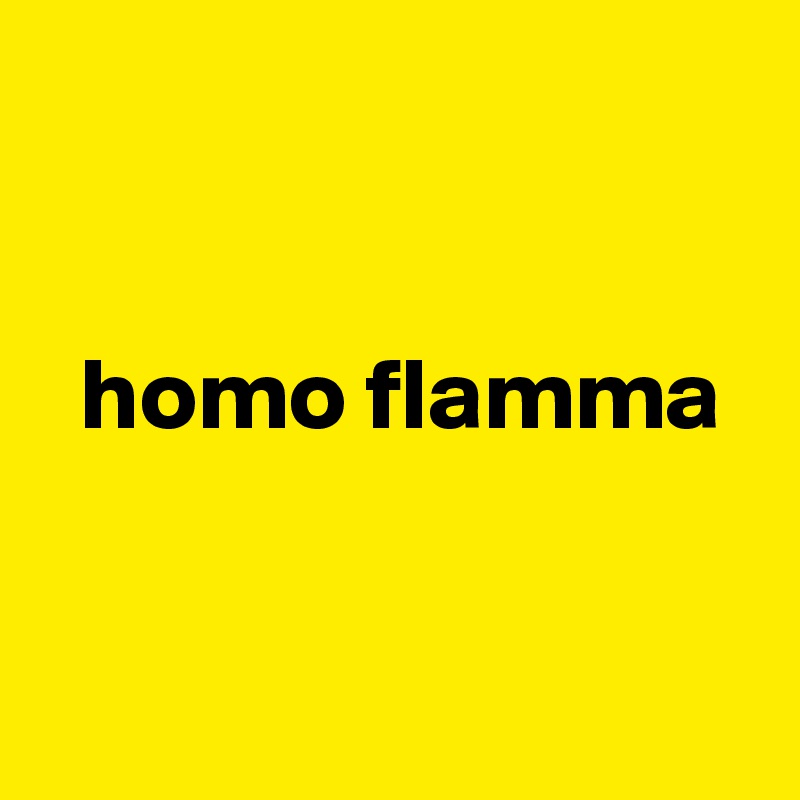 


  homo flamma


