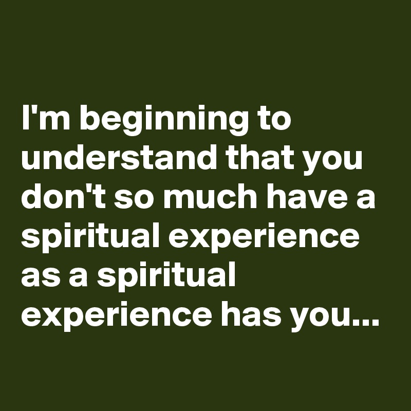 

I'm beginning to understand that you don't so much have a spiritual experience as a spiritual experience has you...
