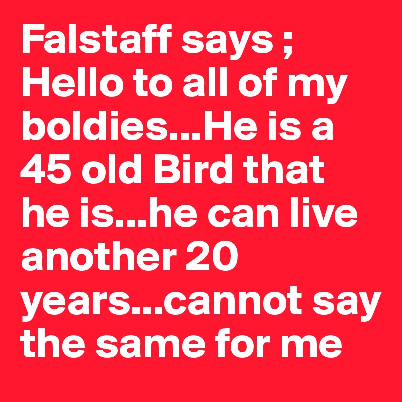 Falstaff says ; Hello to all of my boldies...He is a 45 old Bird that he is...he can live another 20 years...cannot say the same for me