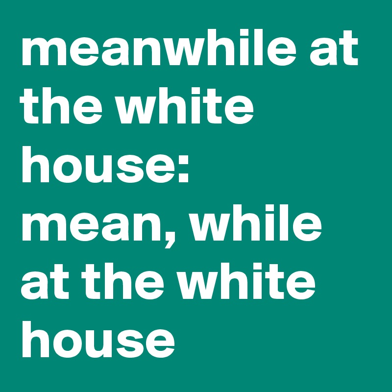 meanwhile at the white house: 
mean, while at the white house