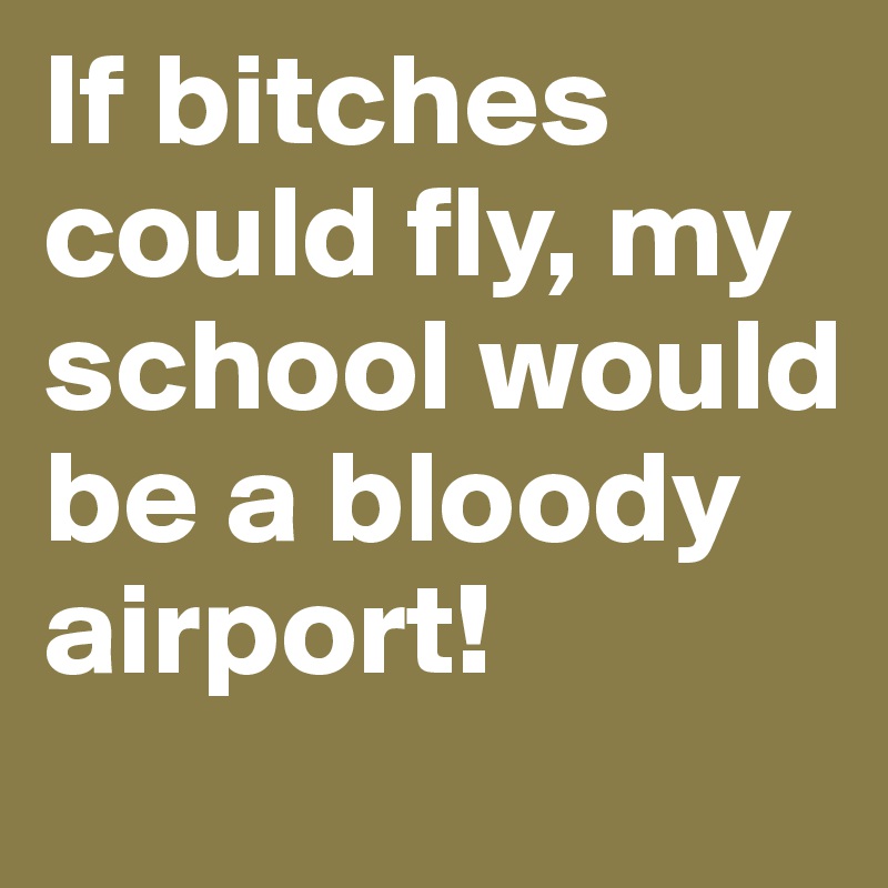 If bitches could fly, my school would be a bloody airport!