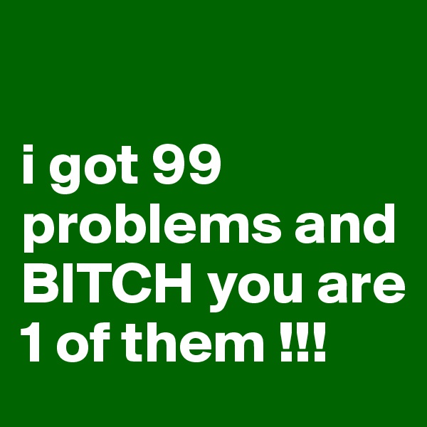 

i got 99 problems and BITCH you are 1 of them !!!