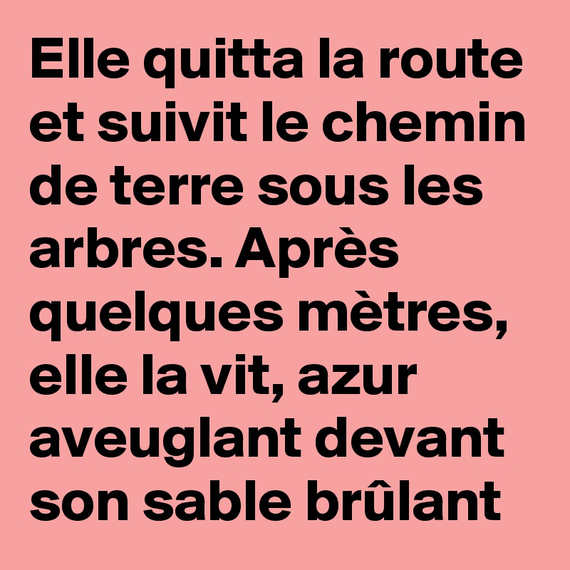 Elle quitta la route et suivit le chemin de terre sous les arbres. Après quelques mètres, elle la vit, azur aveuglant devant son sable brûlant