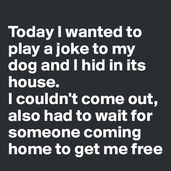 
Today I wanted to play a joke to my dog and I hid in its house. 
I couldn't come out, also had to wait for someone coming home to get me free
