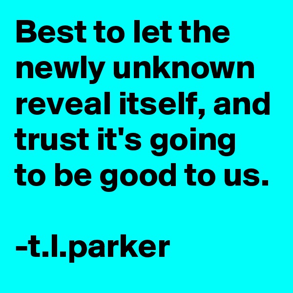 Best to let the newly unknown reveal itself, and trust it's going to be good to us. 

-t.l.parker
