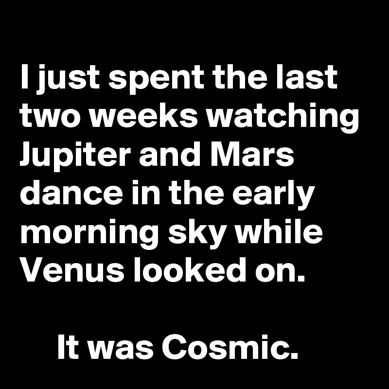 
I just spent the last two weeks watching Jupiter and Mars dance in the early morning sky while Venus looked on.

     It was Cosmic.