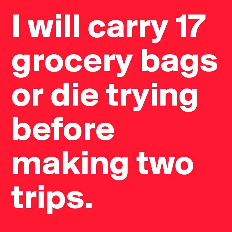 I will carry 17 grocery bags or die trying before making two trips.