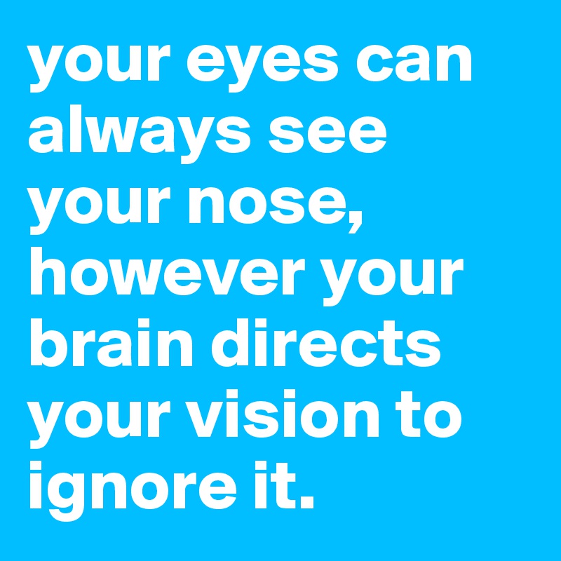 Can You See Your Brain Through Your Nose