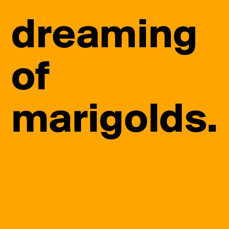 dreaming of marigolds.
