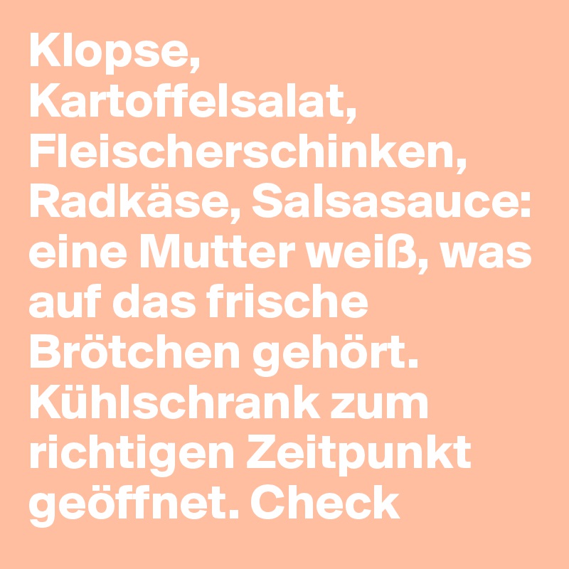 Klopse, Kartoffelsalat, Fleischerschinken, Radkäse, Salsasauce: eine Mutter weiß, was auf das frische Brötchen gehört. Kühlschrank zum richtigen Zeitpunkt geöffnet. Check