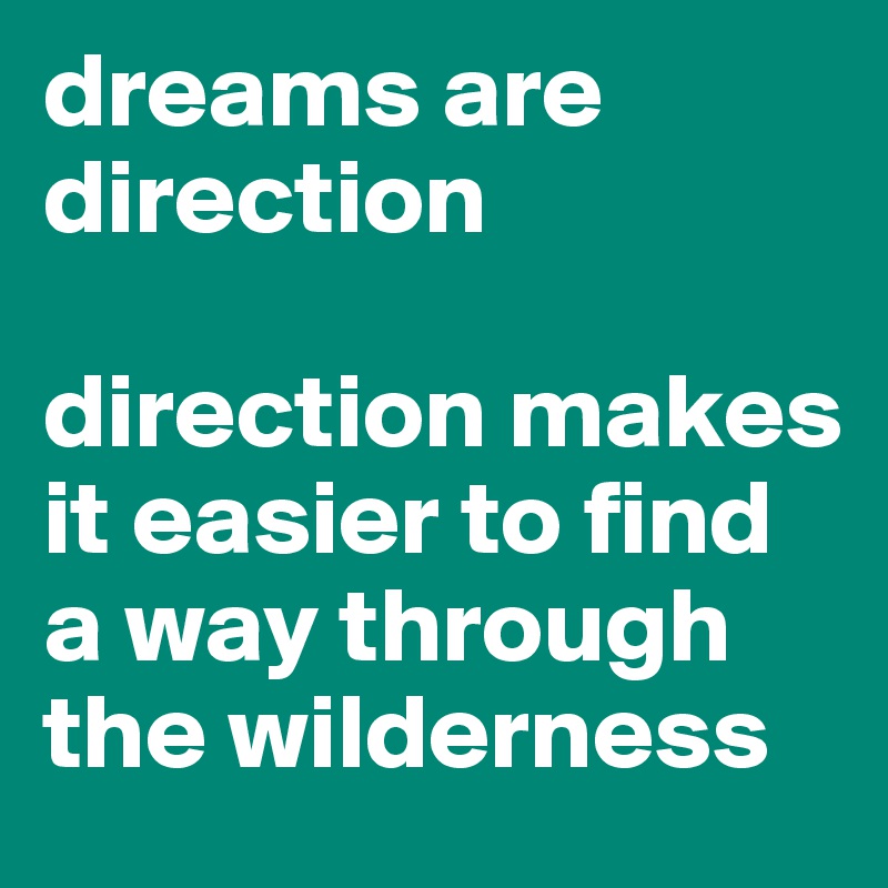 dreams are direction

direction makes it easier to find a way through the wilderness