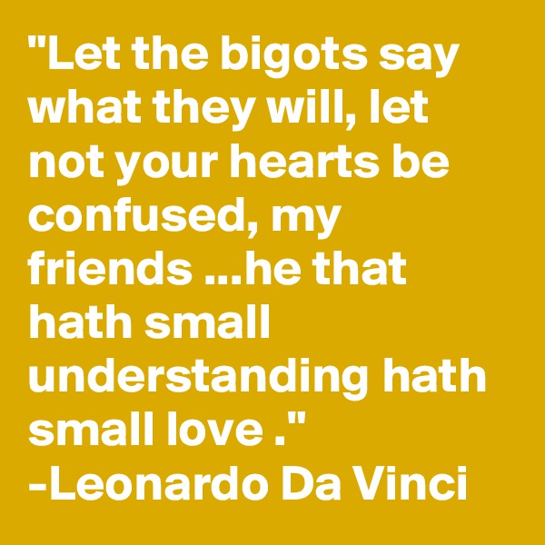 "Let the bigots say what they will, let not your hearts be confused, my friends ...he that hath small understanding hath small love ."
-Leonardo Da Vinci