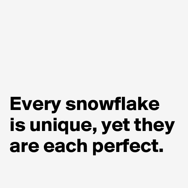 



Every snowflake is unique, yet they are each perfect.
