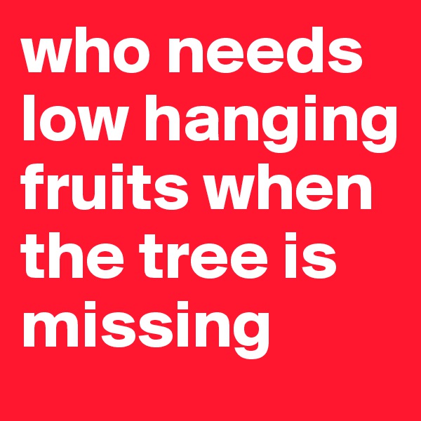 who needs low hanging fruits when the tree is missing