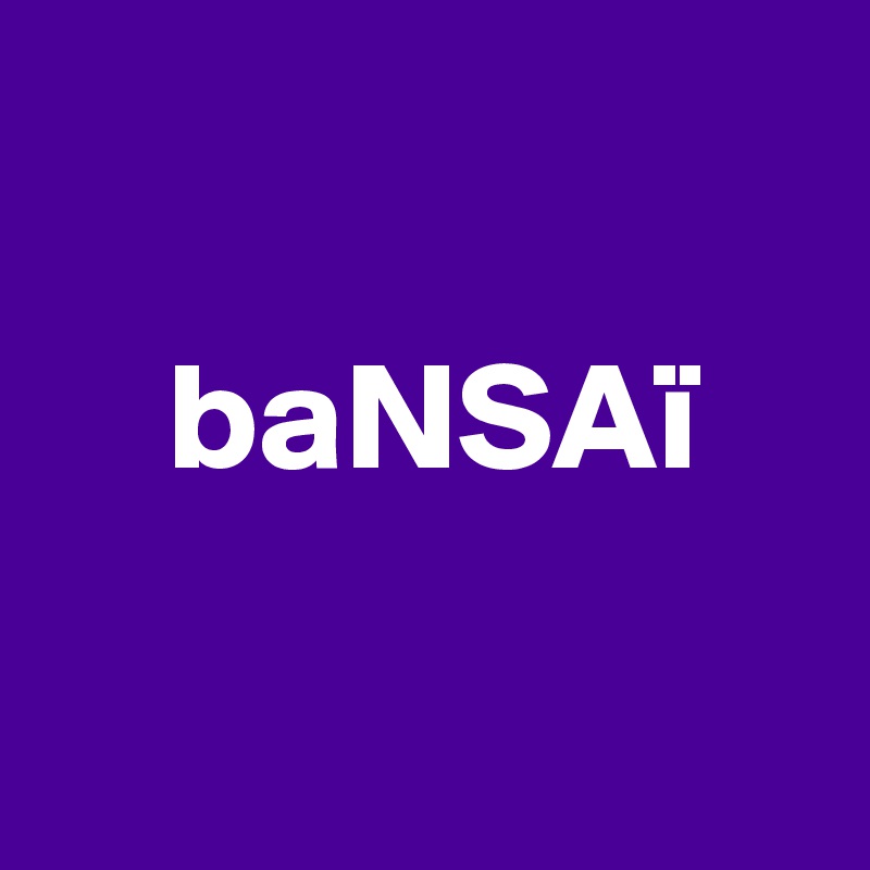 

    baNSAï

