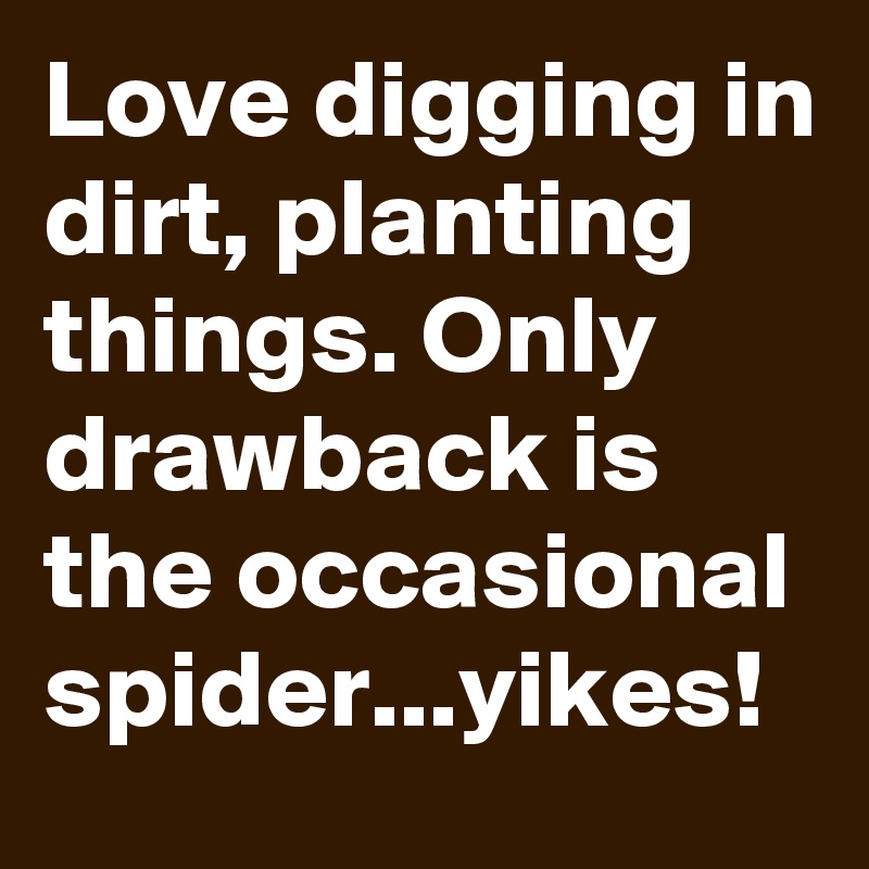 Love digging in dirt, planting things. Only drawback is the occasional spider...yikes!