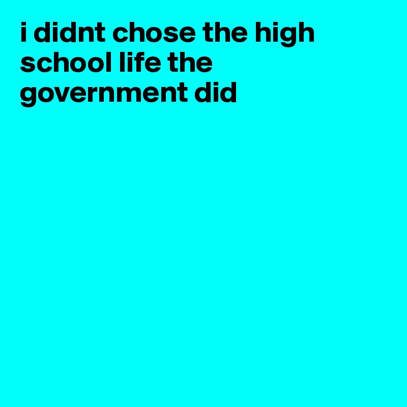 i didnt chose the high school life the government did








