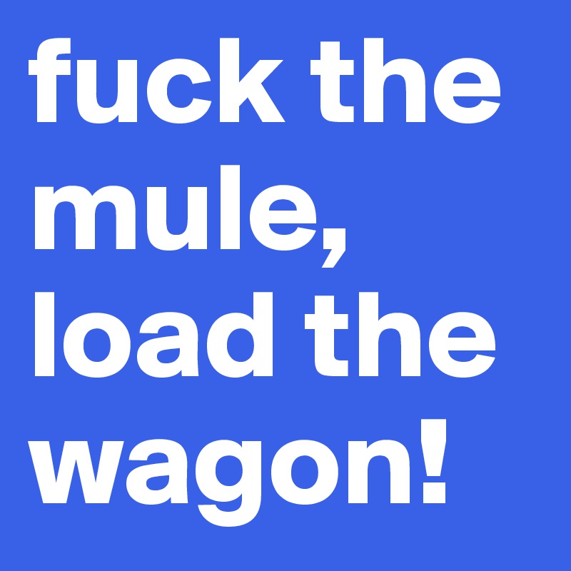 fuck the mule, load the wagon! 