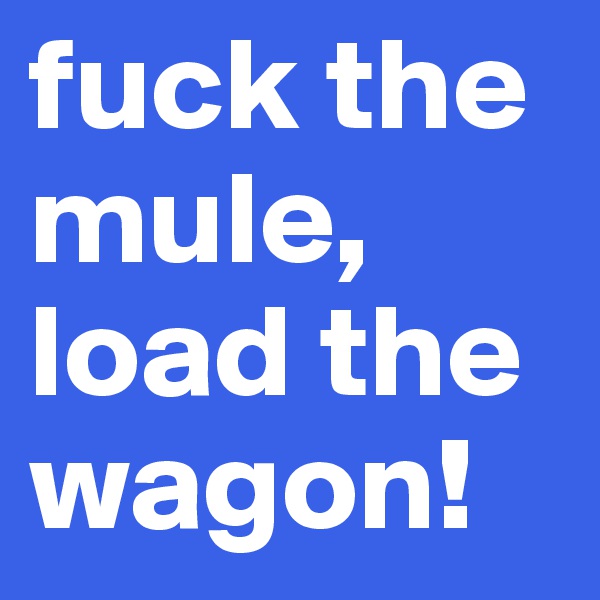fuck the mule, load the wagon! 