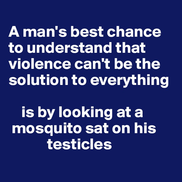 
A man's best chance to understand that violence can't be the solution to everything

    is by looking at a
 mosquito sat on his
            testicles
