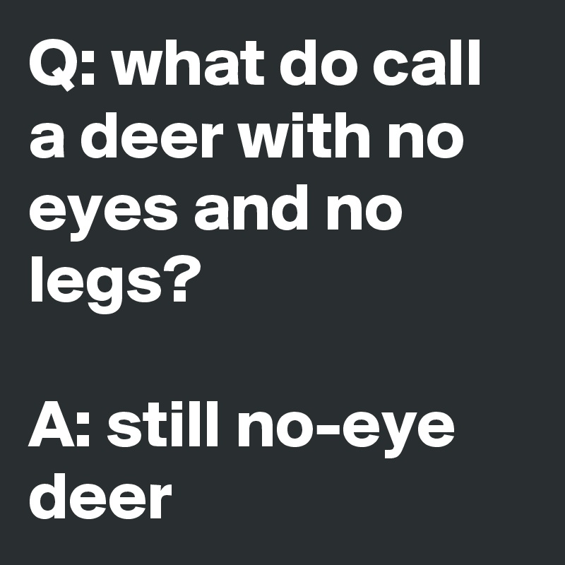 Q: what do call a deer with no eyes and no legs? A: still no-eye 