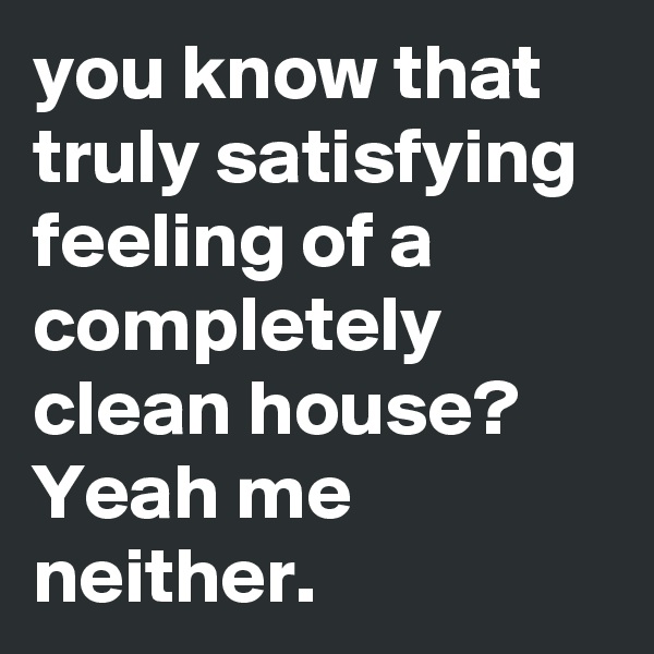 you know that truly satisfying feeling of a completely clean house? Yeah me neither.