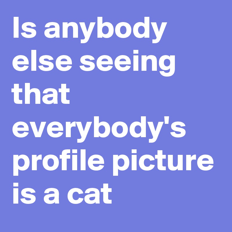 Is anybody else seeing that everybody's profile picture is a cat