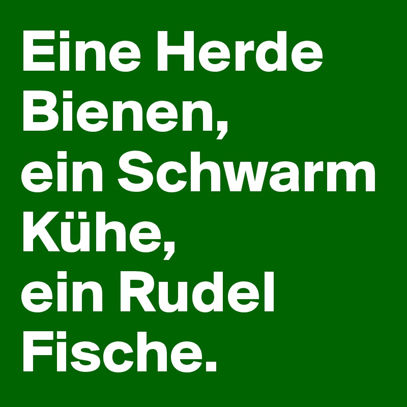 Eine Herde Bienen, 
ein Schwarm Kühe, 
ein Rudel Fische.