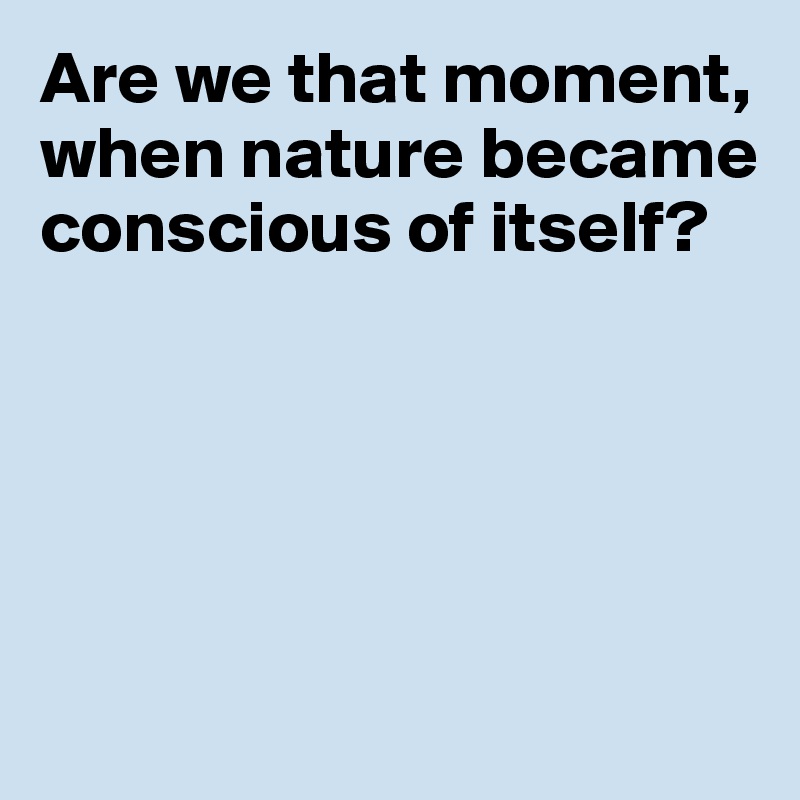 Are we that moment, 
when nature became conscious of itself?





