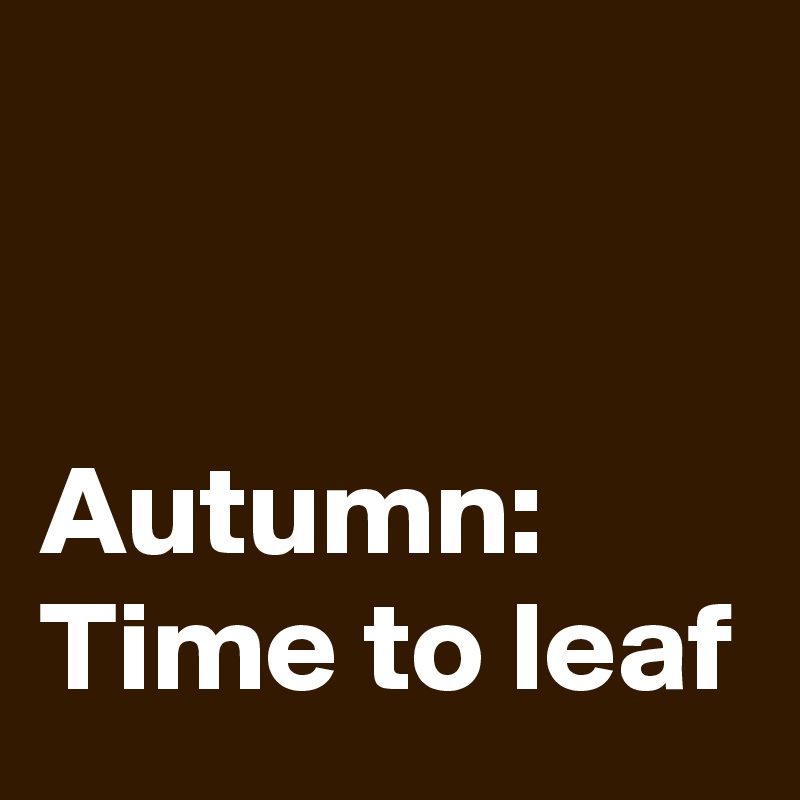 


Autumn:
Time to leaf
