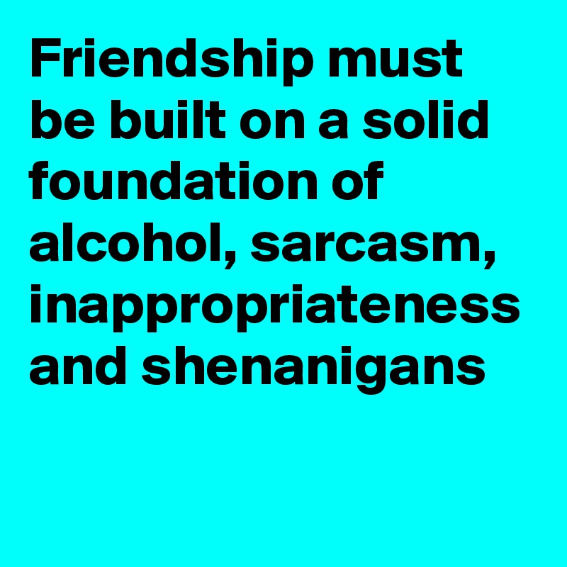 Friendship must be built on a solid foundation of alcohol, sarcasm,
inappropriateness and shenanigans