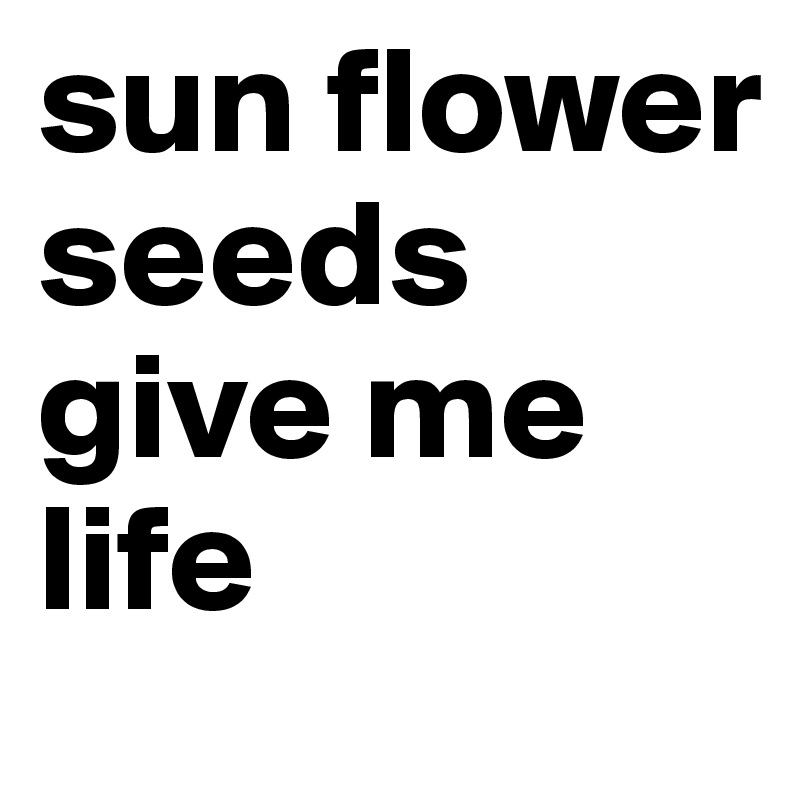 sun flower seeds give me life 