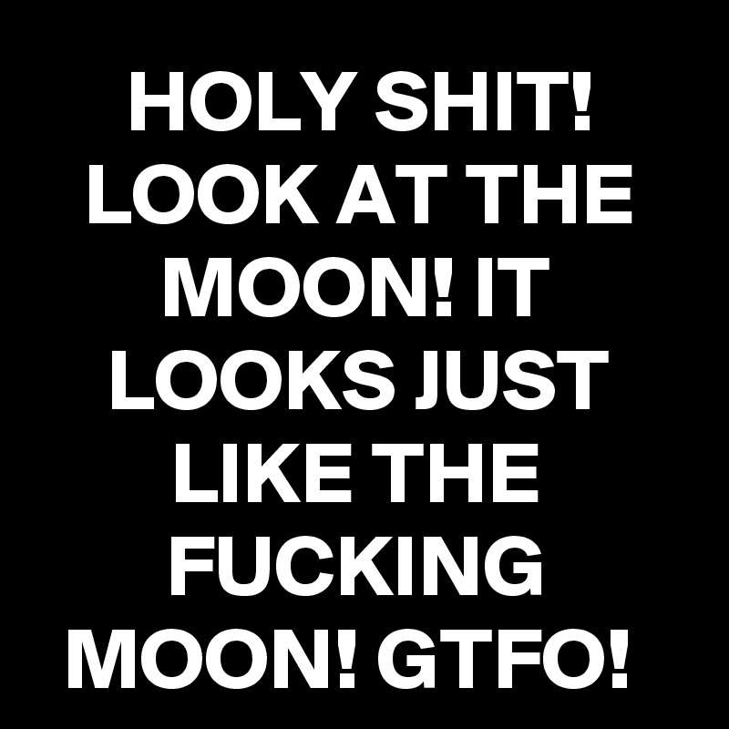 HOLY SHIT! LOOK AT THE MOON! IT LOOKS JUST LIKE THE FUCKING MOON! GTFO! 
