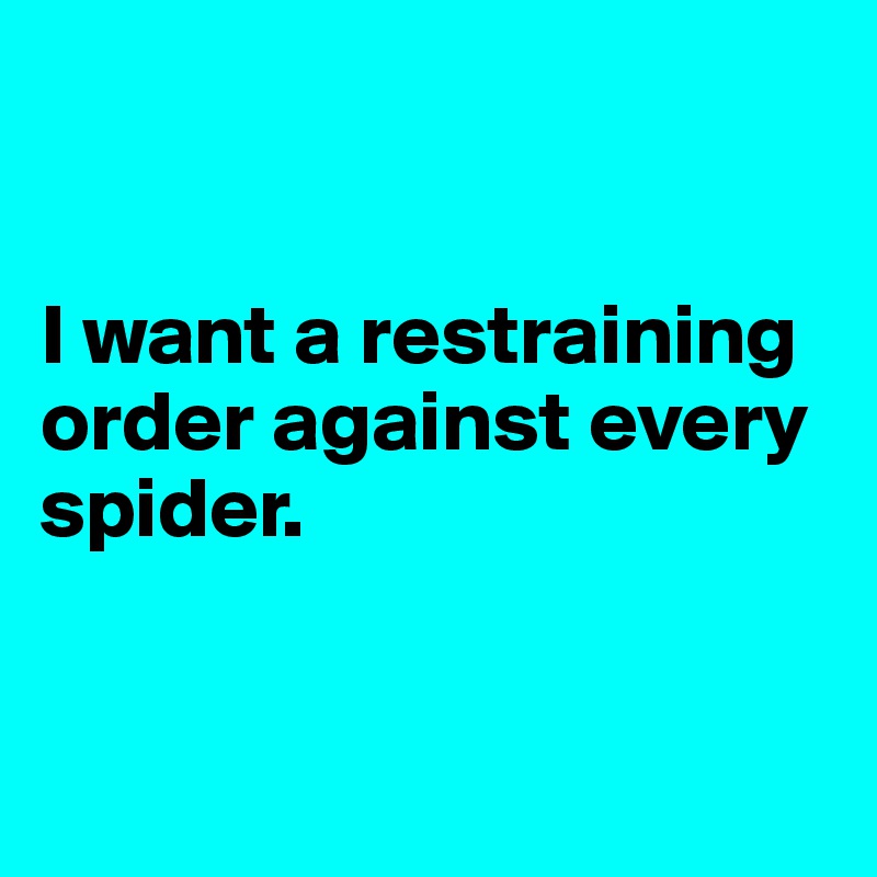 


I want a restraining order against every  spider. 


