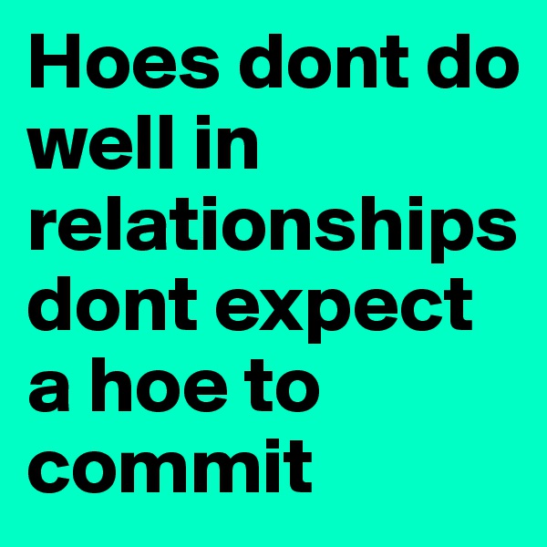 Hoes dont do well in   relationships dont expect a hoe to commit