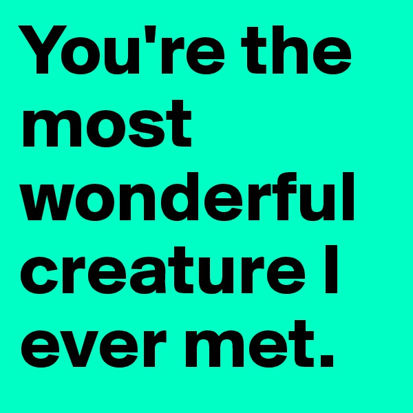 You're the most wonderful creature I ever met.