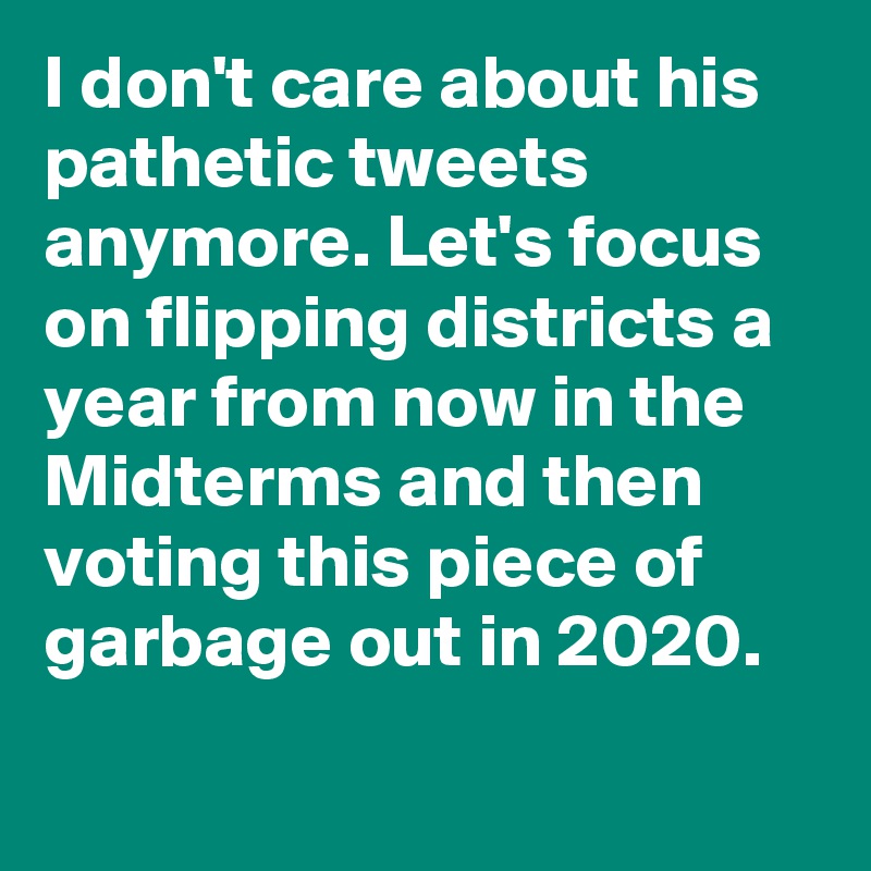 I don't care about his pathetic tweets anymore. Let's focus on flipping districts a year from now in the Midterms and then voting this piece of garbage out in 2020.